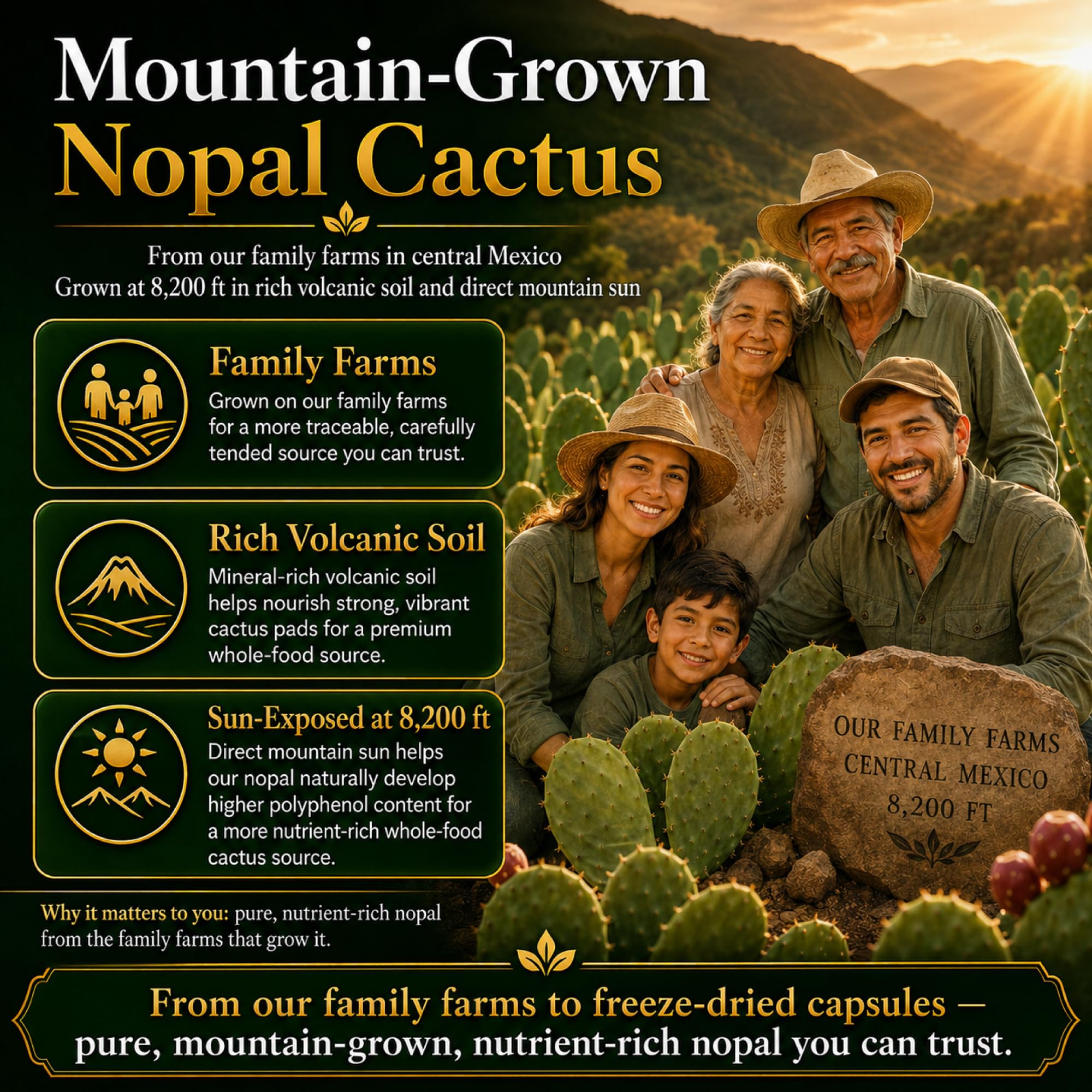 Natural Home Nopal Cactus Capsules displayed with ingredients