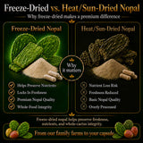 Natural Home Nopal Cactus Capsules with fresh prickly pear