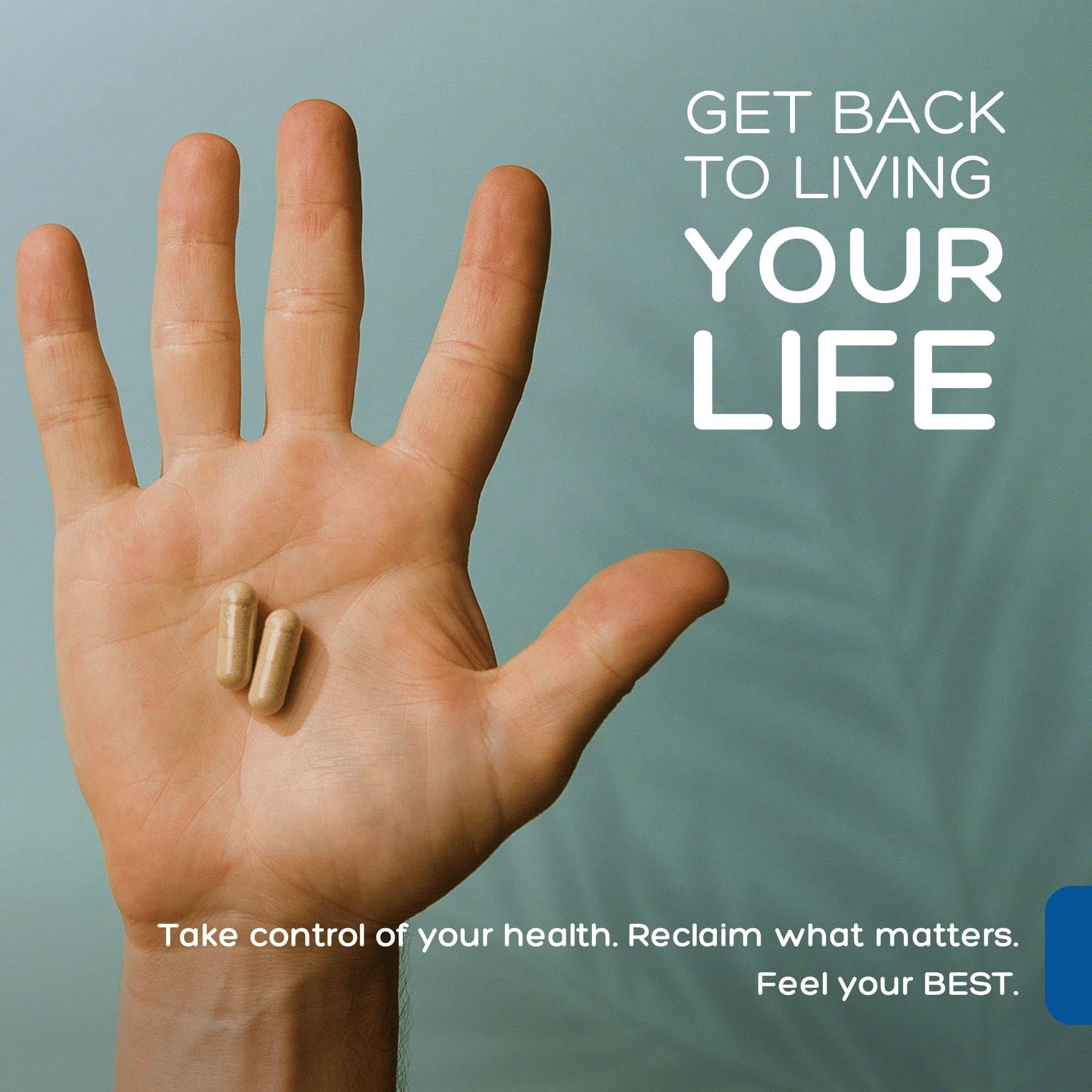 Natural Labs daily wellness Support Capsules close-up of the capsules
