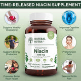 Natural Nutra B3 Niacin 500mg supplement tablets close-up