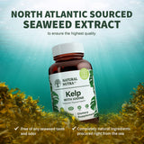 Natural Nutra Kelp Iodine Supplement capsules