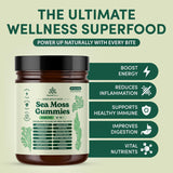 Natural Rems Sea Moss Gummies back view with nutritional information