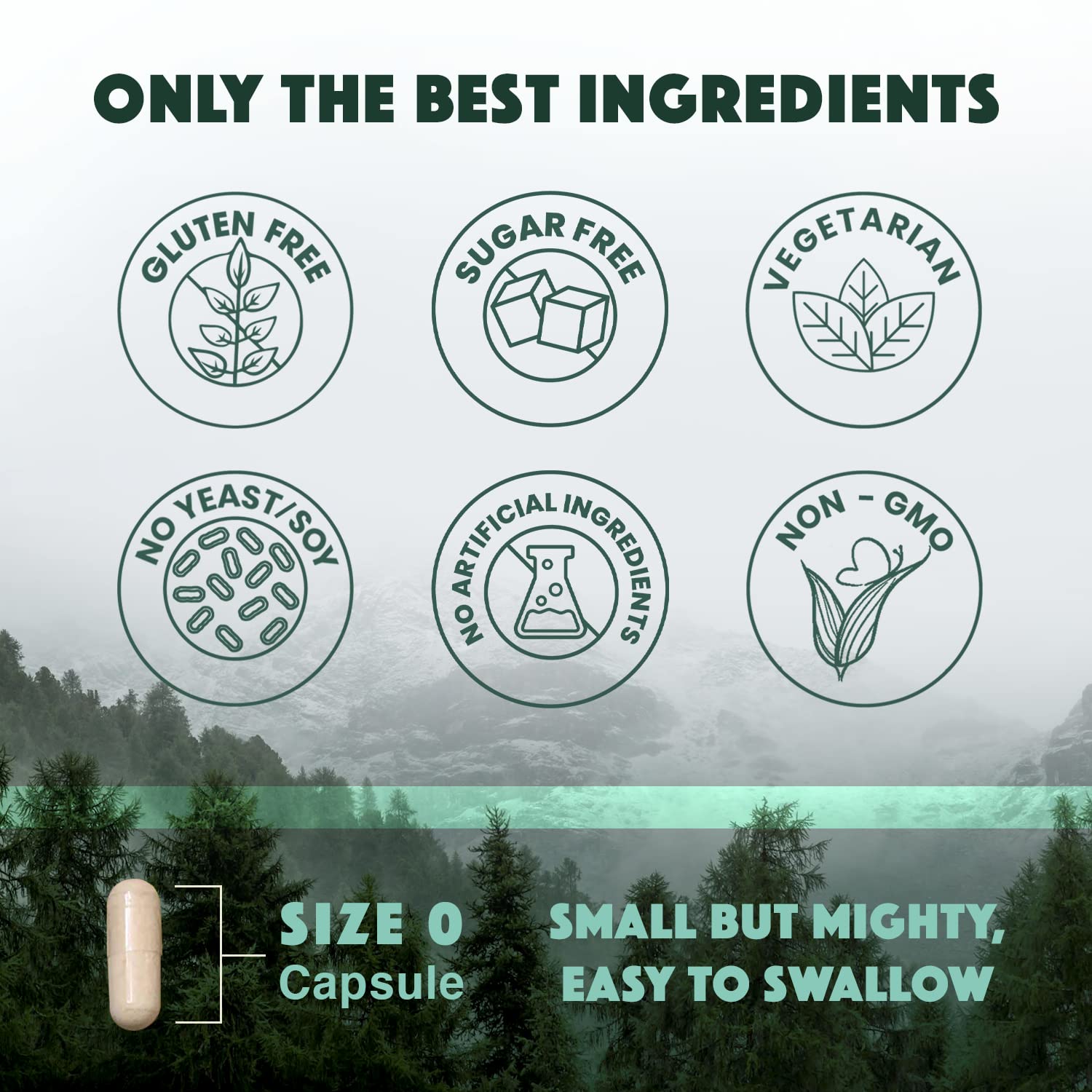 Natural Rhythm Magnesium Supplement capsules close-up
