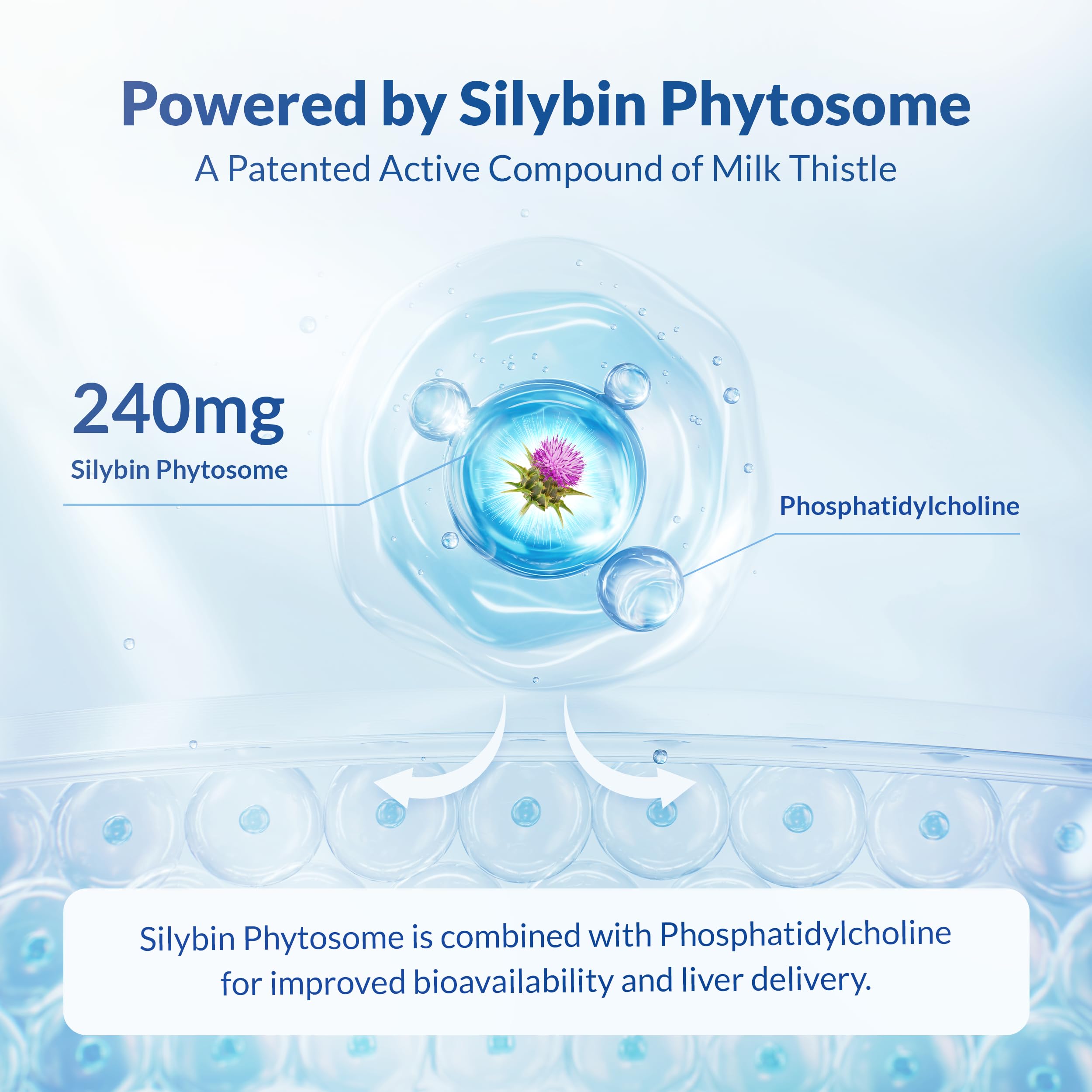 Natural Wellness Maximum Milk Thistle ingredients list