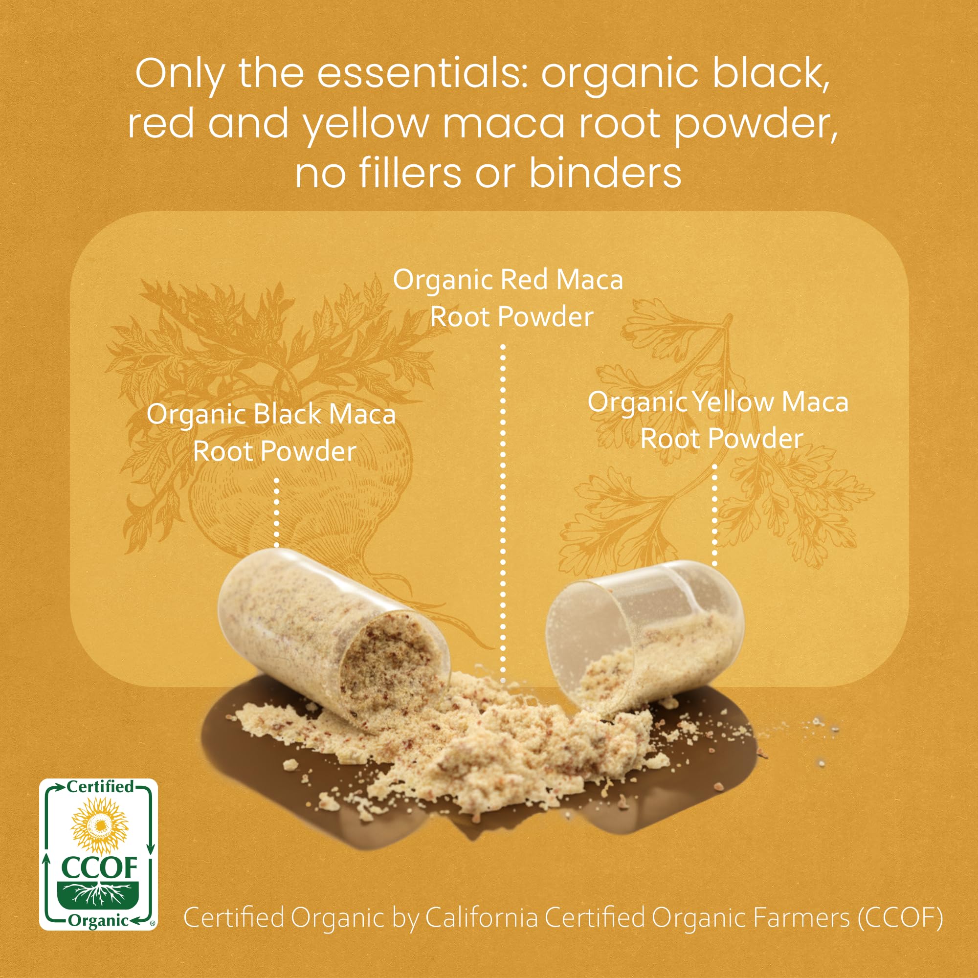 NaturaLife Labs Organic Maca Root capsules close-up on a wooden table