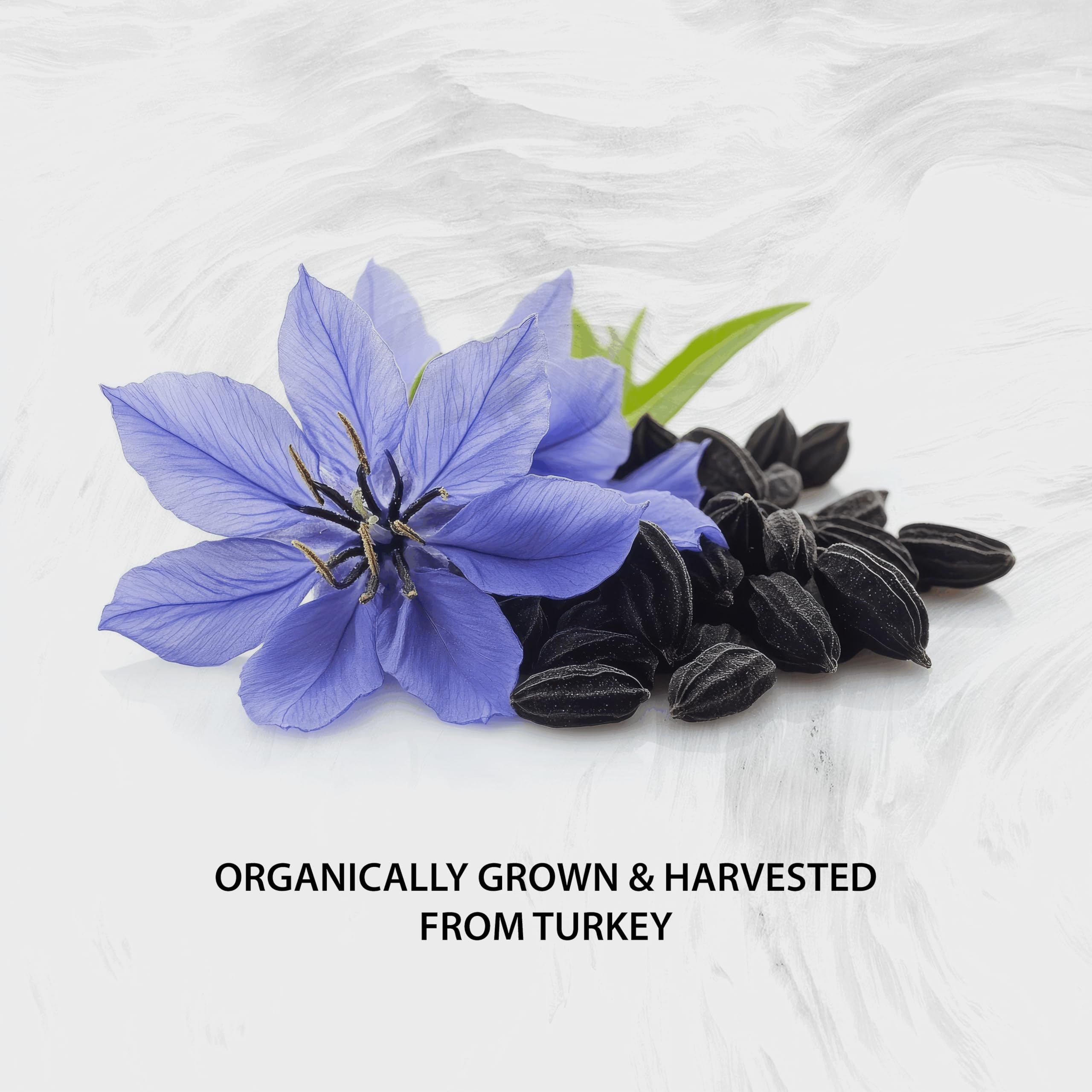 Naturalis Black Seed Oil softgels with a measuring spoon