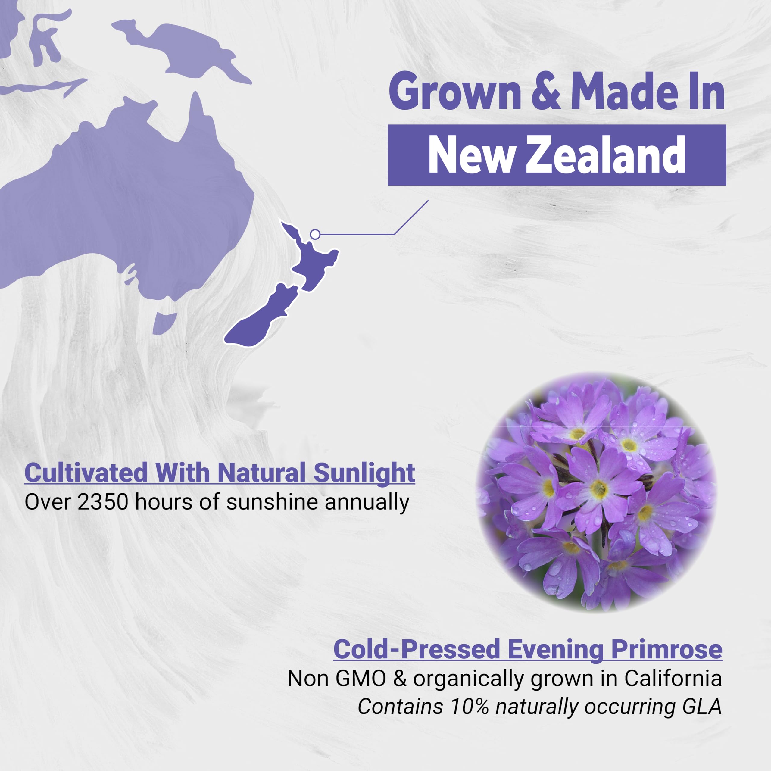 Naturalis Evening Primrose Oil softgel close-up
