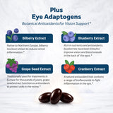 Naturalis Lutein Eye Health Supplement bottle with softgels