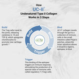 Naturalis UC-II Collagen Capsules 40mg on a wooden table