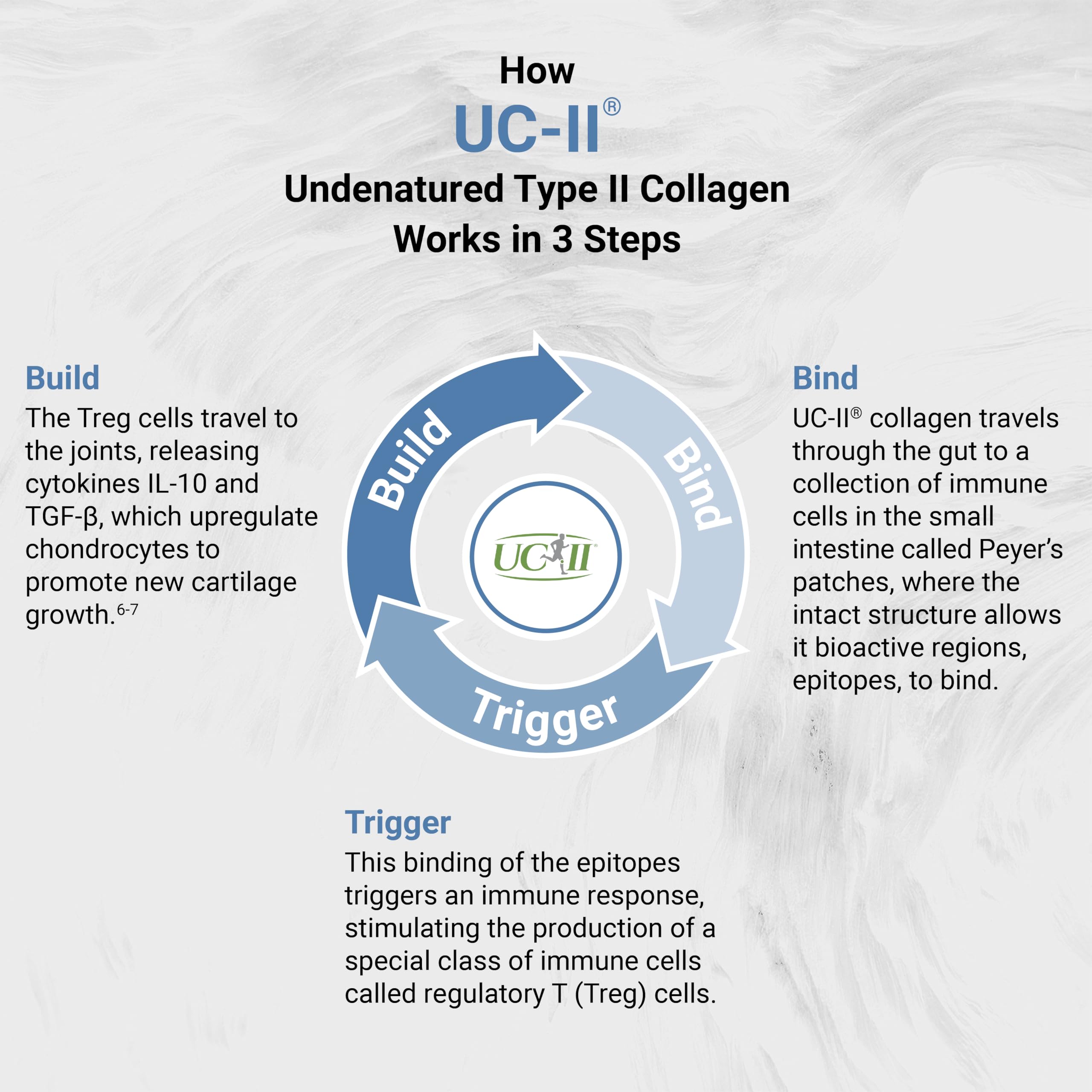Naturalis UC-II Collagen Supplement softgel bottle