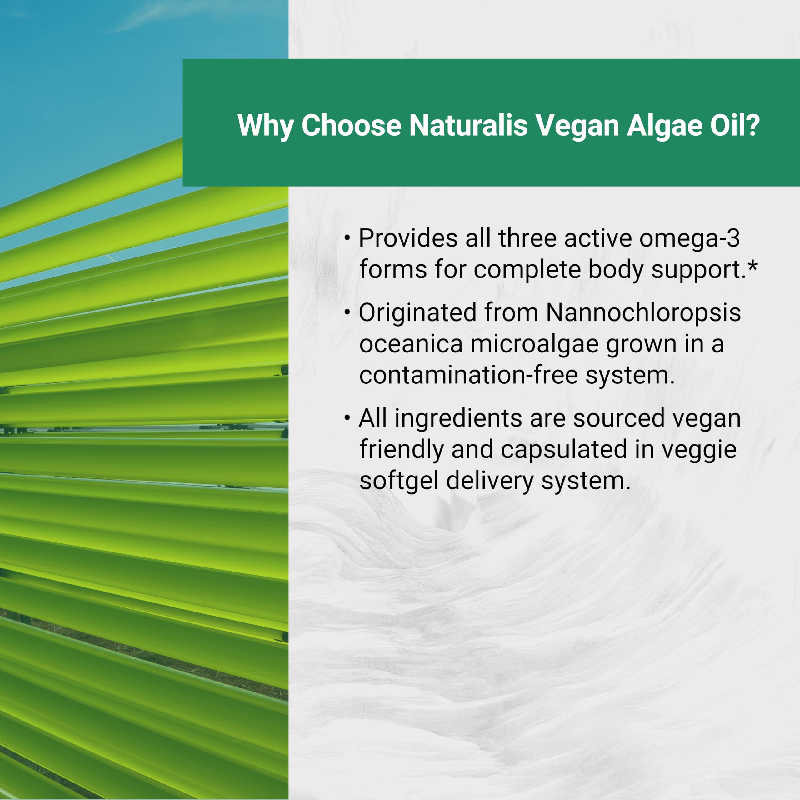 Naturalis Vegan Omega-3 Algae Oil bottle side view