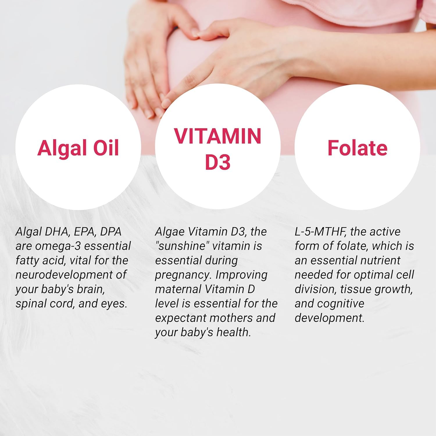 Naturalis Vegan Prenatal Pro Omega-3 supplement ingredients list