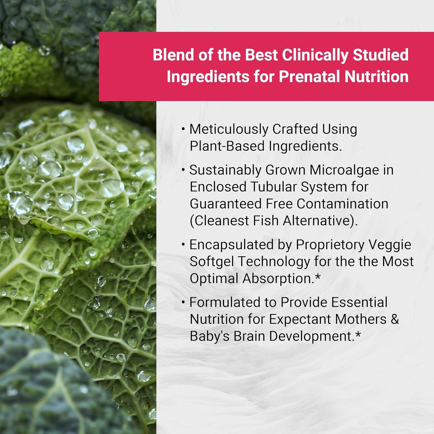 Naturalis Vegan Prenatal Pro Omega-3 supplement packaging