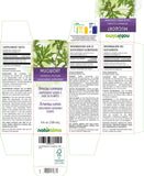 Naturalma Mugwort Liquid Herbal Supplement bottle back view