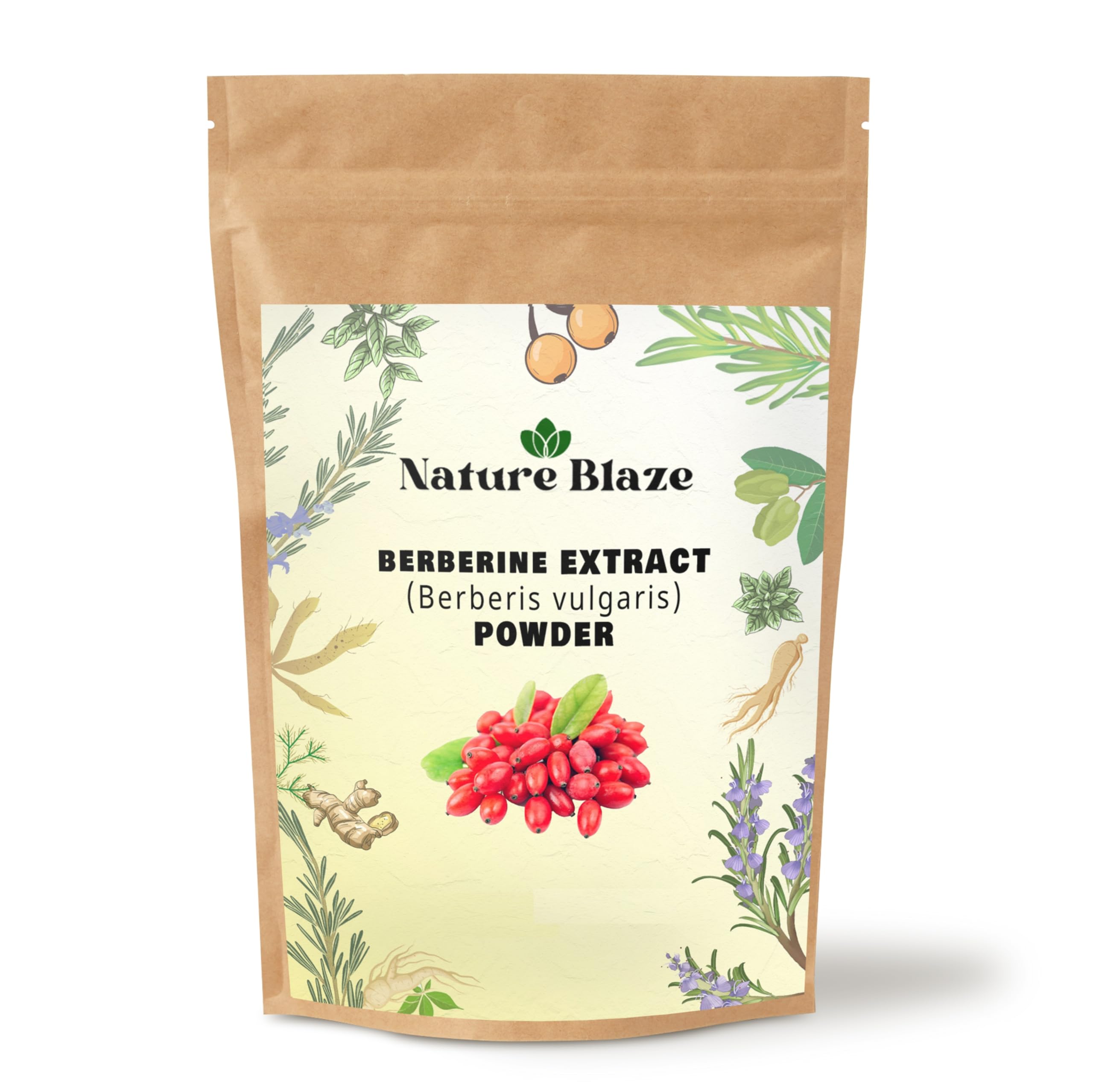 Nature Blaze Barberry Extract 181g front view