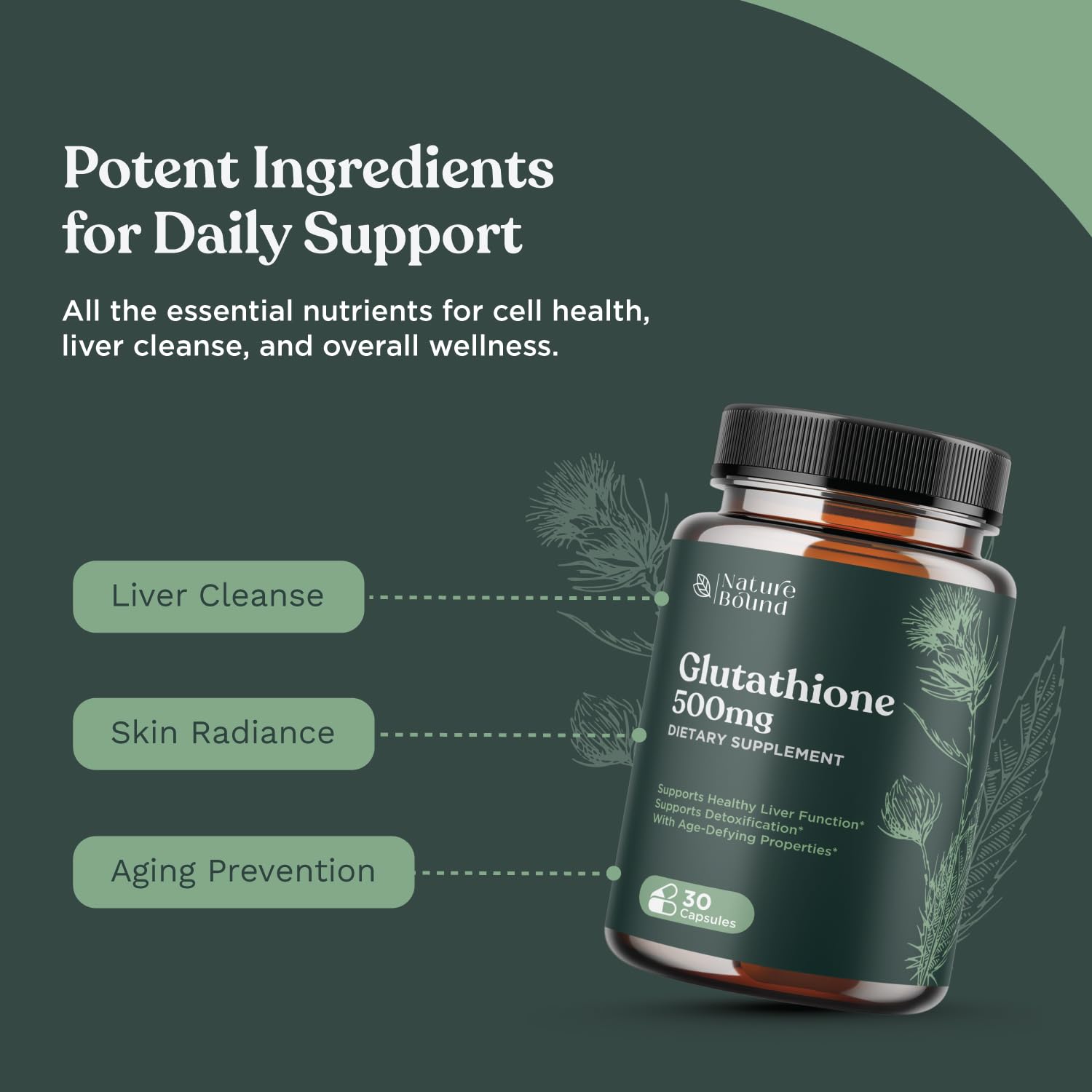 Nature Bound Milk Thistle Capsules 500mg with capsules displayed