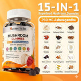 Nature Echo Mushroom Gummies nutritional information on the back