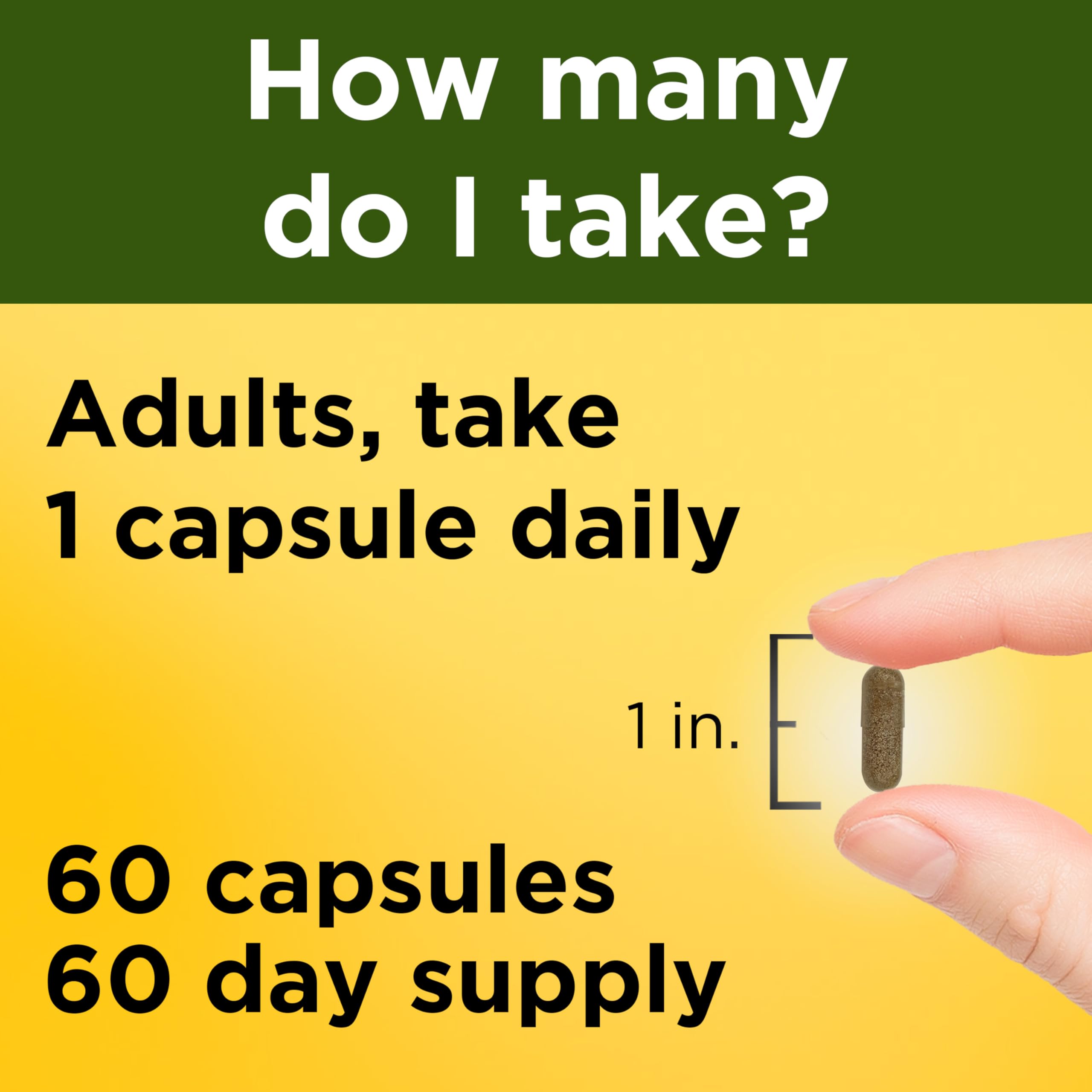 Nature Made Ashwagandha Capsules ingredients list