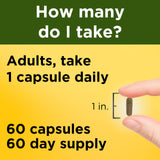 Nature Made Ashwagandha Capsules ingredients list