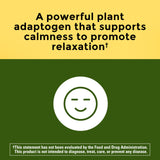 Nature Made Ashwagandha Capsules with Sensoril extract