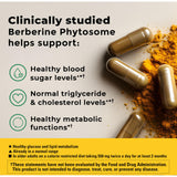 Nature Made Berberine Phytosome Capsules 550mg bottle with label