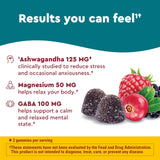 Nature Made Calm Mind & Body Gummies packaging side view