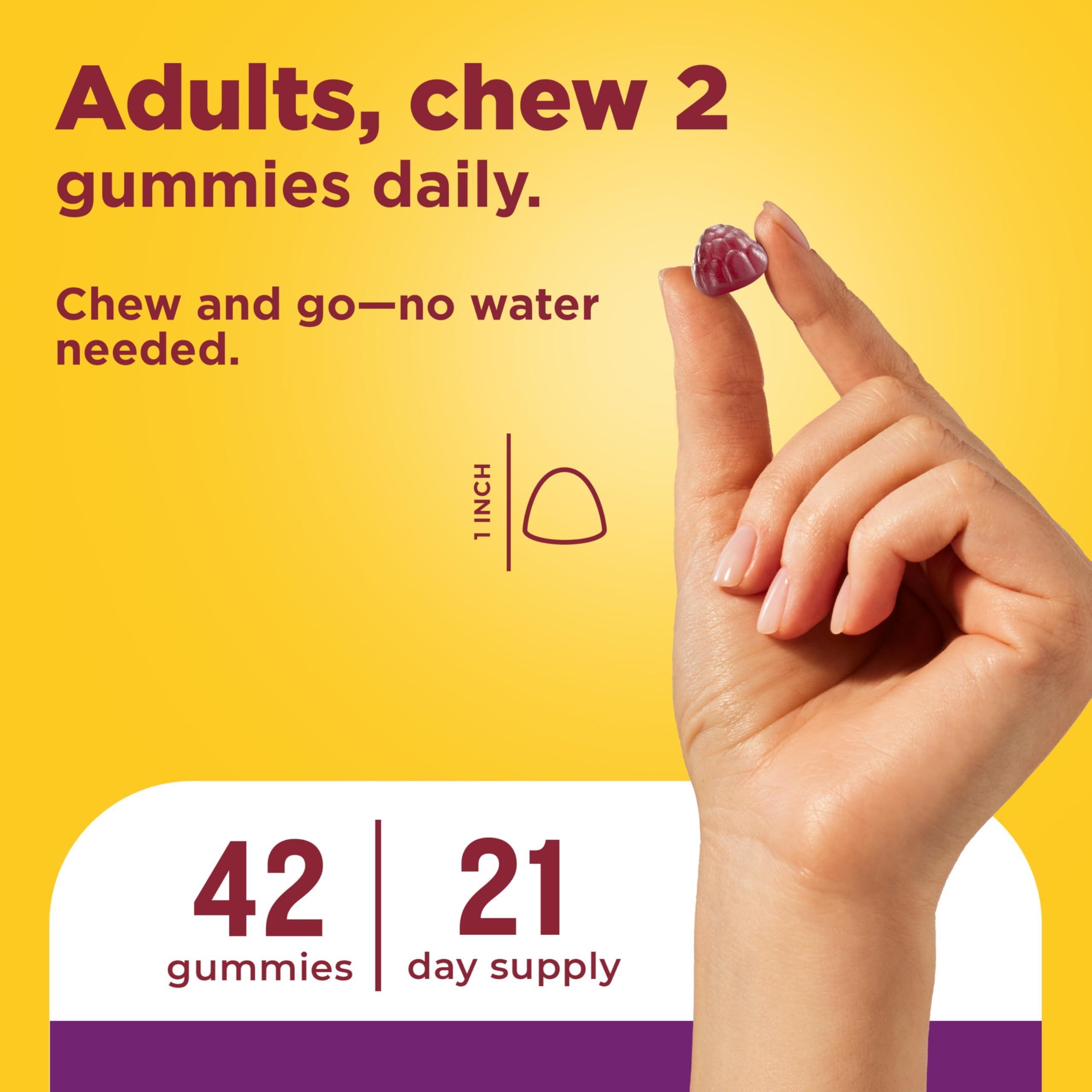 Nature Made daily Probiotics Gummies displayed on a kitchen counter