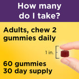 Nature Made Elderberry Gummies ingredients list
