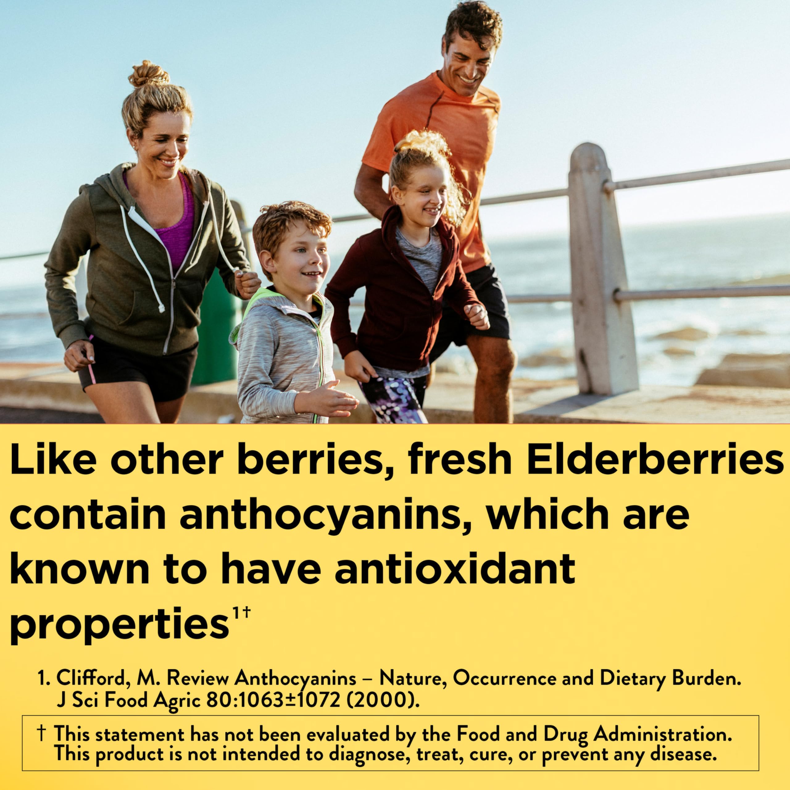 Nature Made Elderberry Gummies raspberry flavour close-up