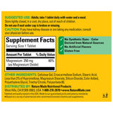 Nature Made Magnesium Oxide 250 mg Tablets packaging details
