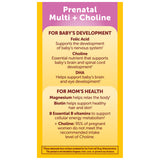 Nature Made Prenatal Vitamins with DHA and Choline alongside a meal