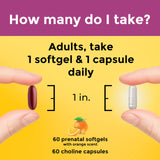 Nature Made Prenatal Vitamins with DHA and Choline packaging