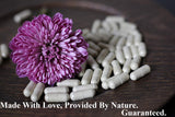 Nature Of Love Sea Moss Capsules 1500mg capsules on table