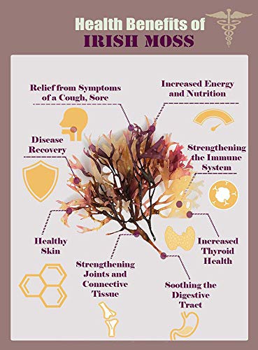 Nature Of Love Sea Moss Capsules 1500mg opened bottle