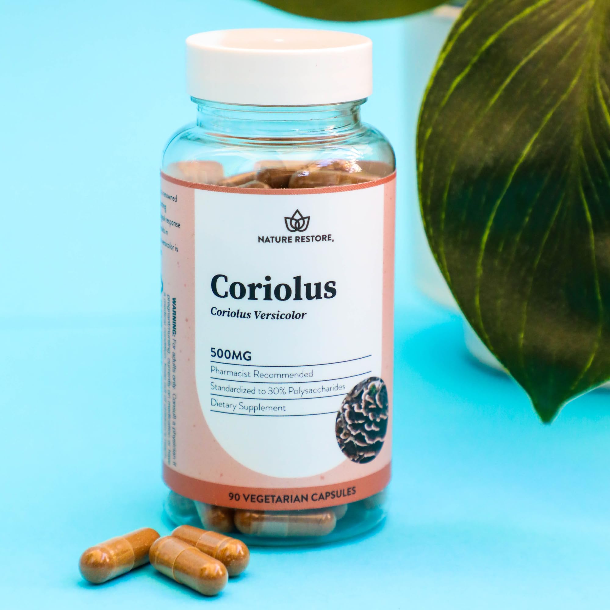 Nature Restore Turkey Tail Mushroom Capsules 500mg close-up of capsules