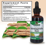 Nature's Answer Ashwagandha Root Extract 1000mg dropper