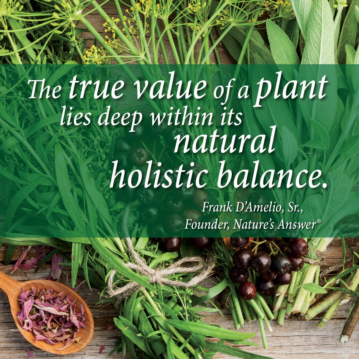 Nature's Answer Calcium Supplement 249g capsule close-up