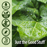 Nature's Answer Chlorophyll Liquid Supplement ingredients list