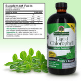 Nature's Answer Chlorophyll Liquid Supplement side view