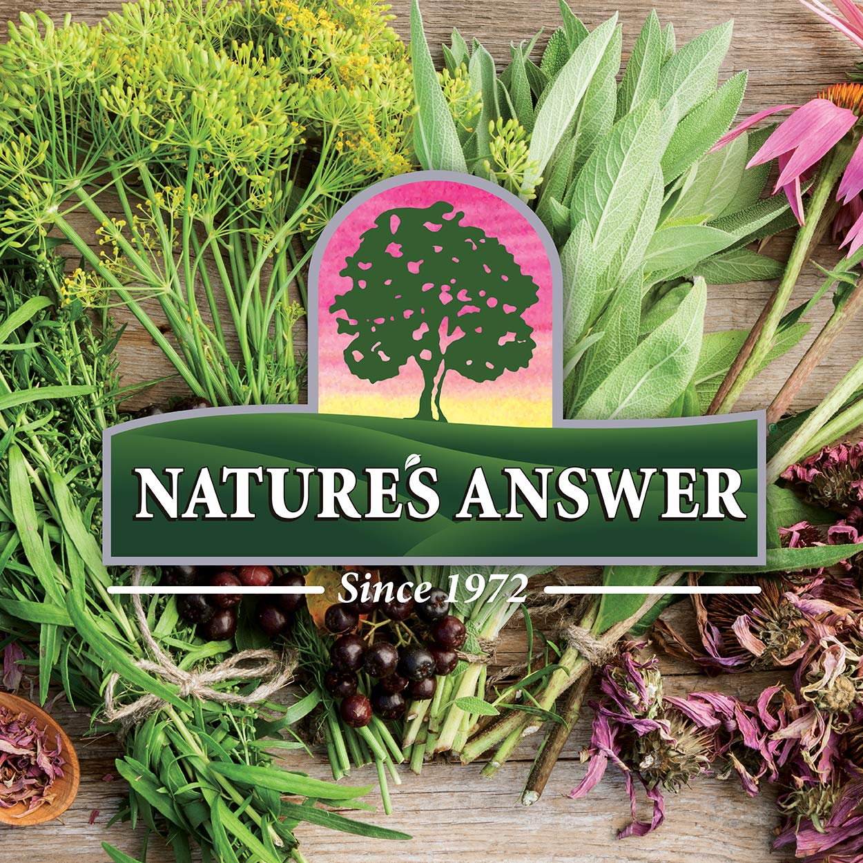 Nature's Answer Dandelion Root Fluid Extract 2000mg packaging