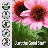 Nature's Answer Echinacea Herbal Supplement back view