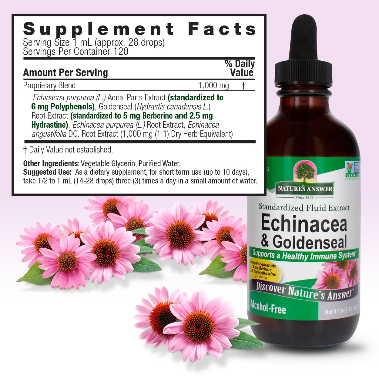 Nature's Answer Echinacea Herbal Supplement side view
