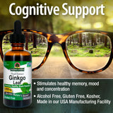 Nature's Answer Ginkgo Biloba Liquid Extract ingredients list