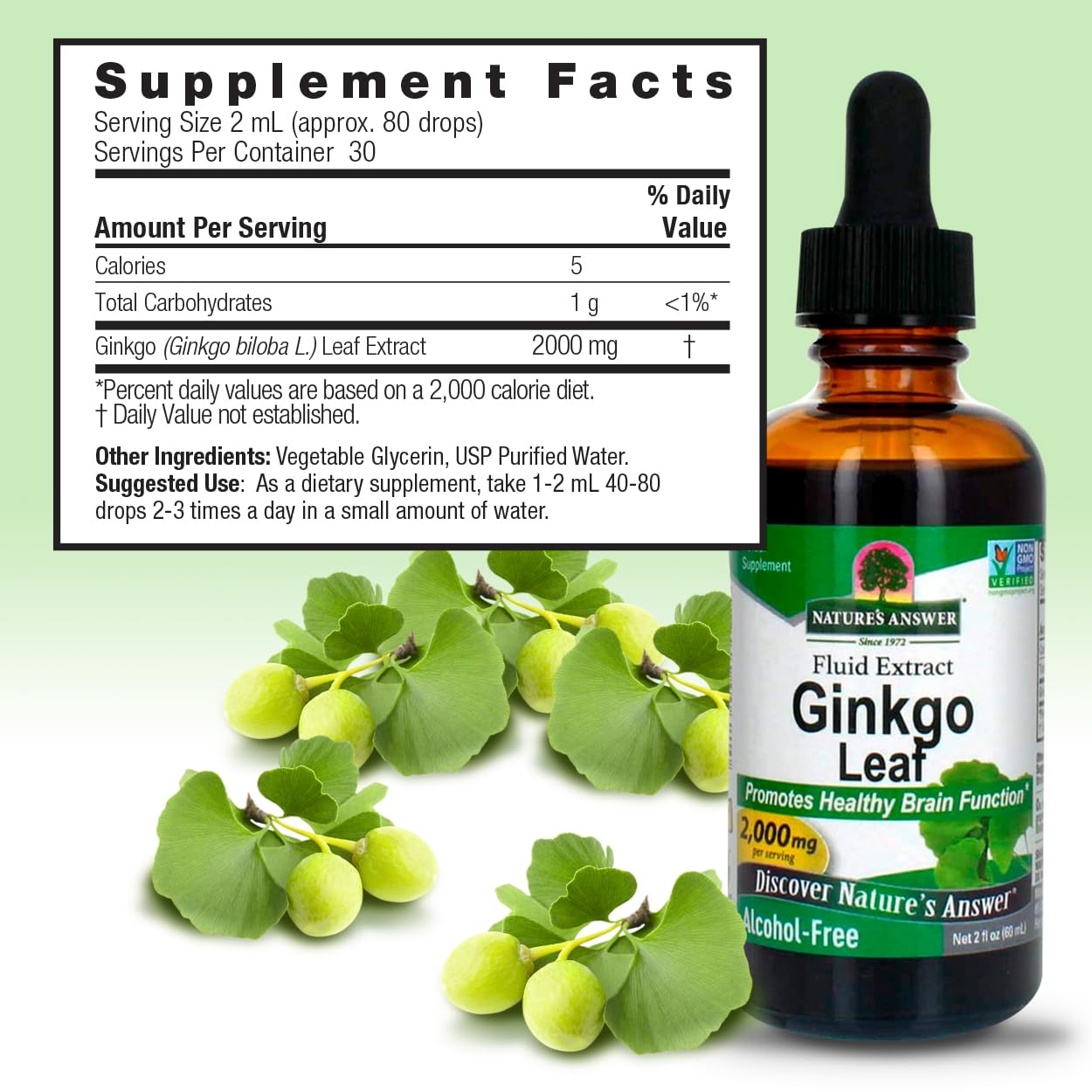 Nature's Answer Ginkgo Biloba Liquid Extract packaging details