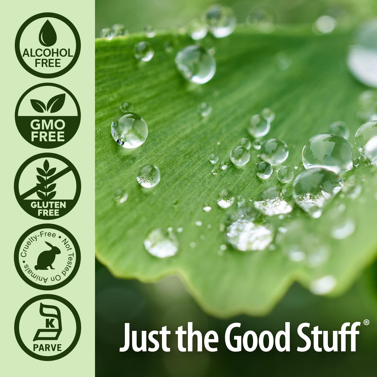 Nature's Answer Ginkgo Biloba Liquid Extract with dropper