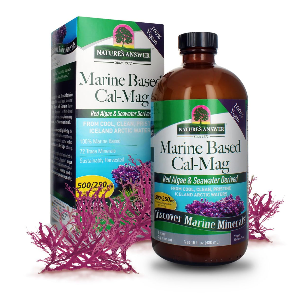 Nature's Answer Marine Calcium Magnesium Supplement 454g front view