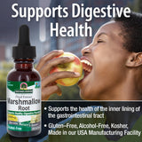 Nature's Answer Marshmallow Root Extract top view of the cap