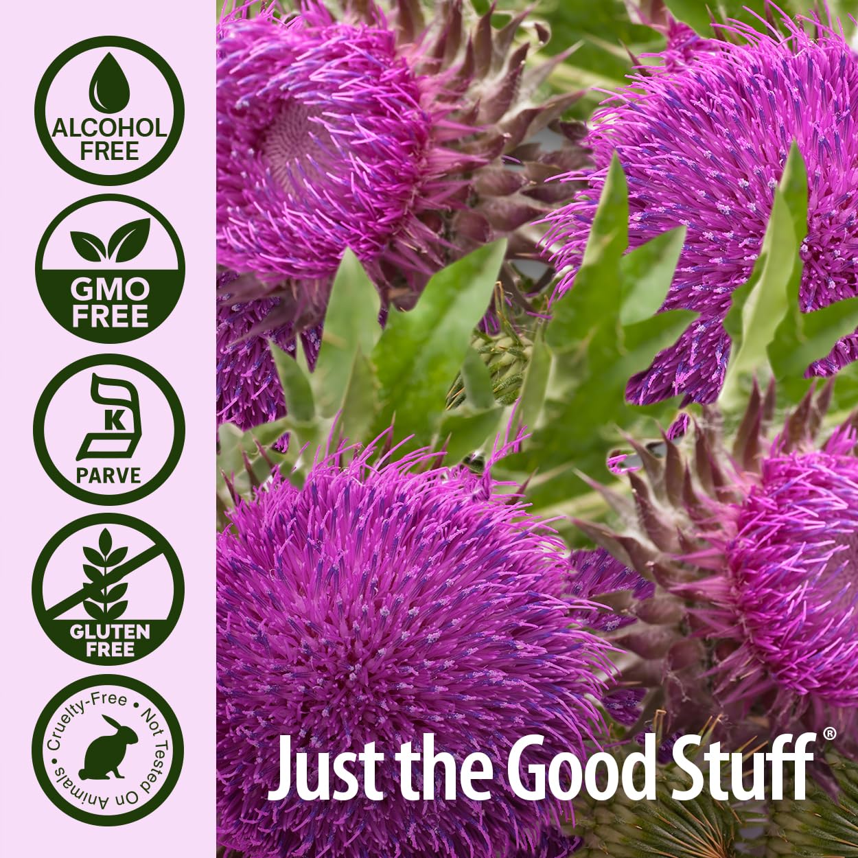 Nature's Answer Milk Thistle Extract 2oz with dropper in lifestyle setting