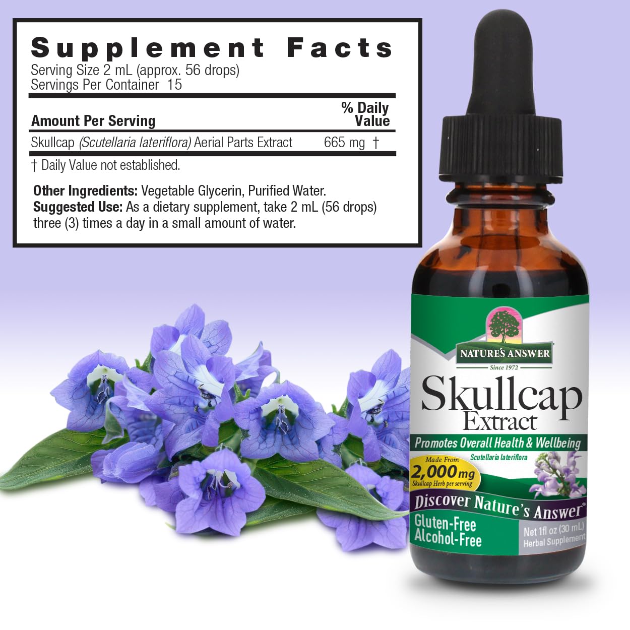 Nature's Answer Skullcap Liquid Extract 1 Ounce bottle with dropper