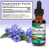 Nature's Answer Skullcap Liquid Extract 1 Ounce bottle with dropper